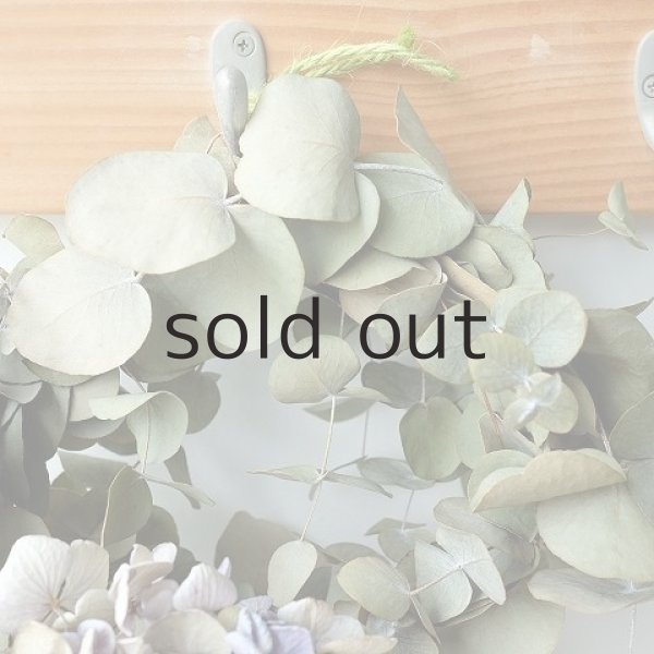 画像2: Dry plants for decor ユーカリリース(銀丸葉+ドライアジサイ+蓮) (2)