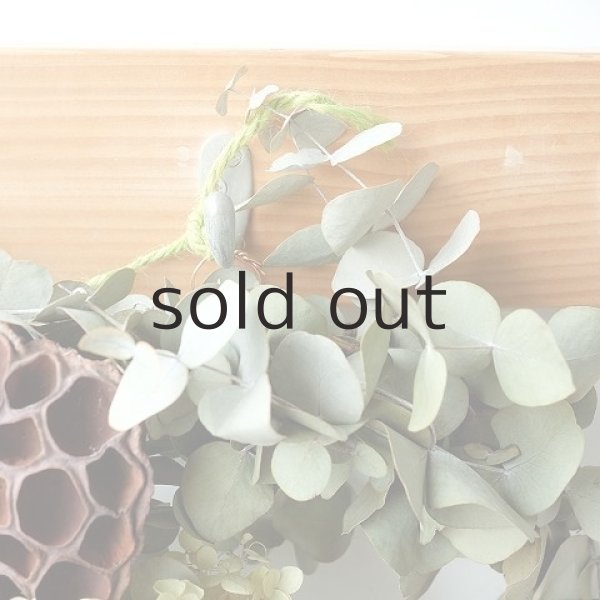 画像2: Dry plants for decor ユーカリリース(銀丸葉+ドライアジサイ+蓮) (2)