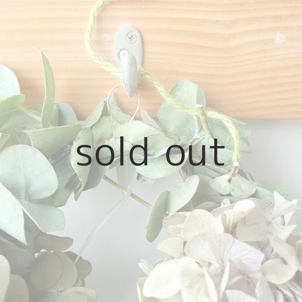 画像2: Dry plants for decor ユーカリリース（銀丸葉＋ギリー＋ドライアジサイ） (2)