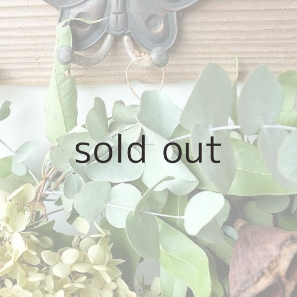 画像2: Dry plants for decor ユーカリリース(銀丸葉+レモンユーカリー+ドライアジサイ2種) (2)