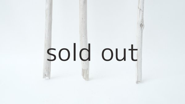 画像2: 枝流木セット (2)