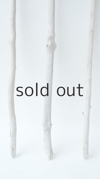 画像2: 枝流木セット (2)