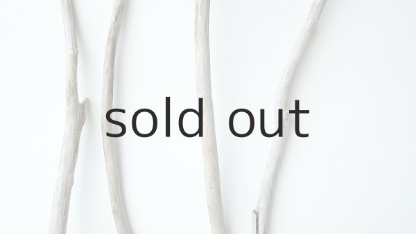 画像3: 枝流木セット (3)