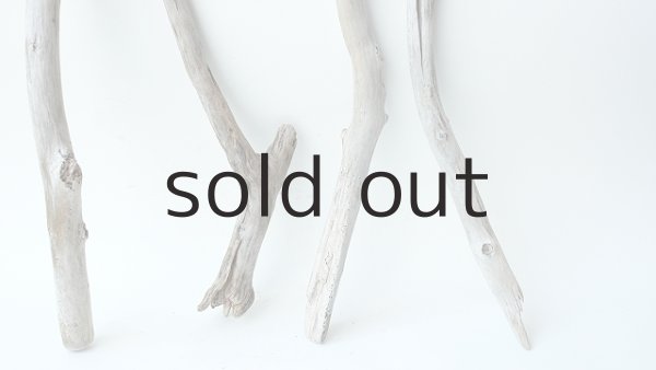 画像2: 枝流木セット (2)