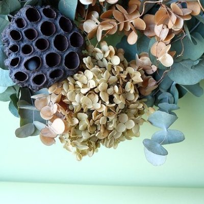 画像3: Dry plants for decor ユーカリリース（銀丸葉＋テトラゴナシルバー＋ドライアジサイ＋ゴールドリーフ＋ユリの実＋蓮）