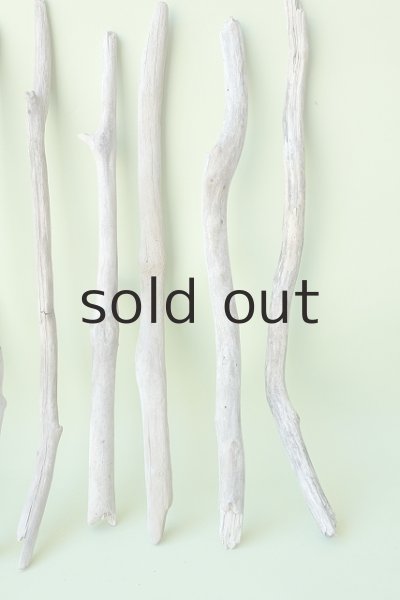 画像3: 小枝流木セット (3)