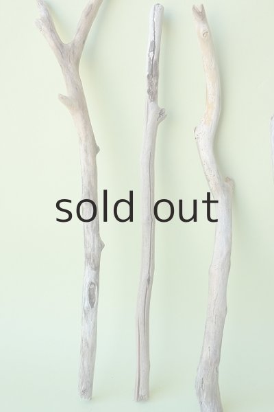 画像2: 小枝流木セット (2)