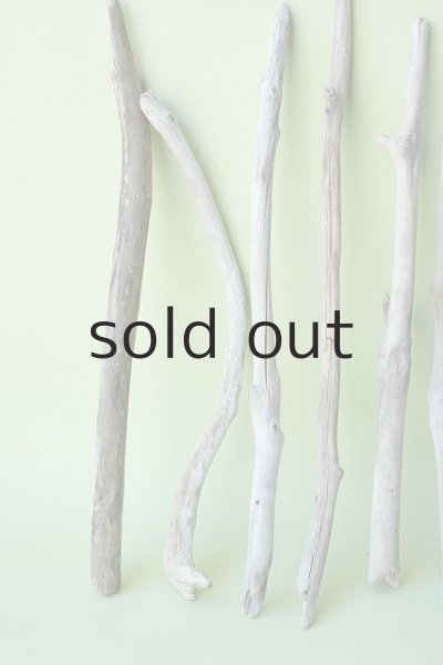 画像2: 小枝流木セット (2)