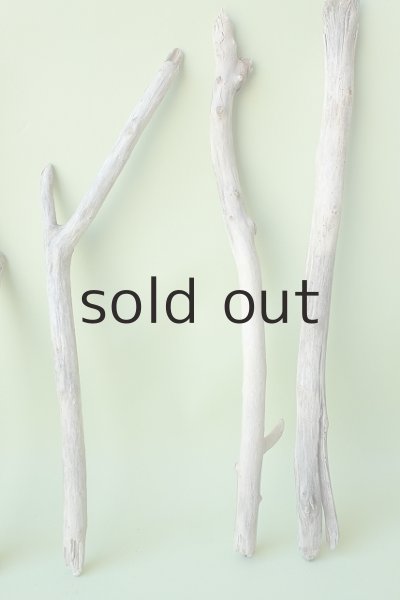 画像3: 小枝流木セット (3)