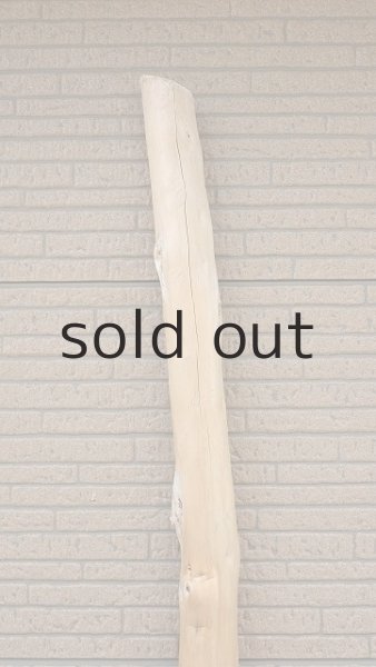 画像4: 幹流木・長尺 (4)