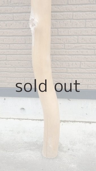 画像2: 幹流木・長尺 (2)