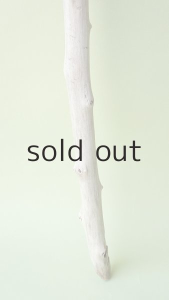 画像2: 枝流木 (2)