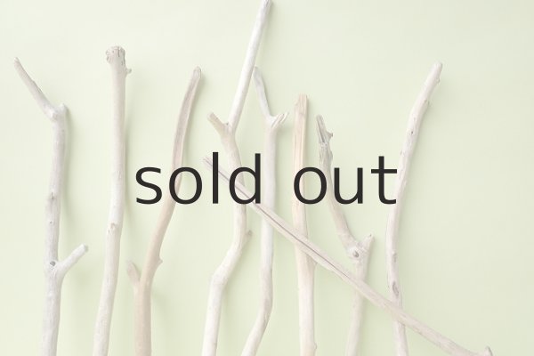 画像3: 小枝流木セット (3)