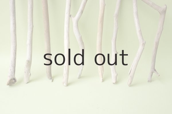 画像2: 小枝流木セット (2)