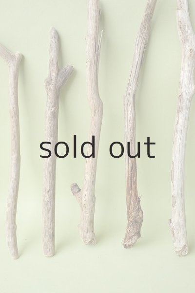 画像3: 小枝流木セット (3)