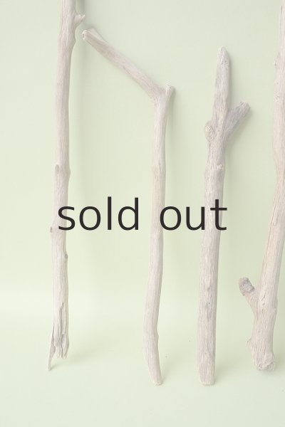 画像2: 小枝流木セット (2)