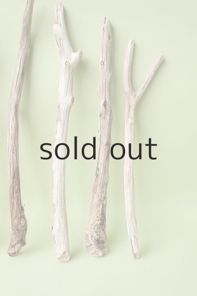 画像4: 小枝流木セット (4)