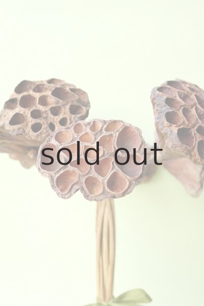 画像3: Dry plants for decor デコール用乾燥花托(蓮)サークルブーケ (3)