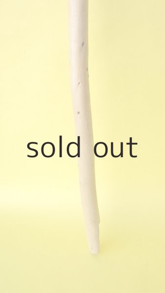 画像2: 棒流木 (2)