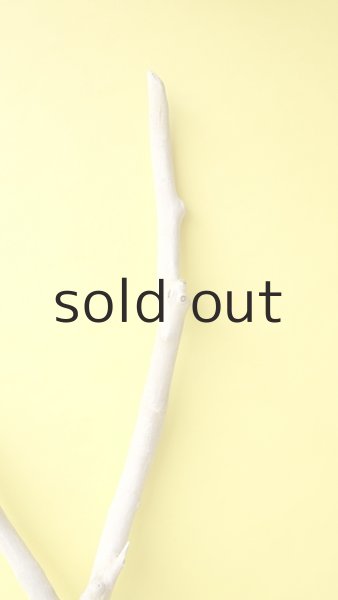 画像5: 幹流木 (5)