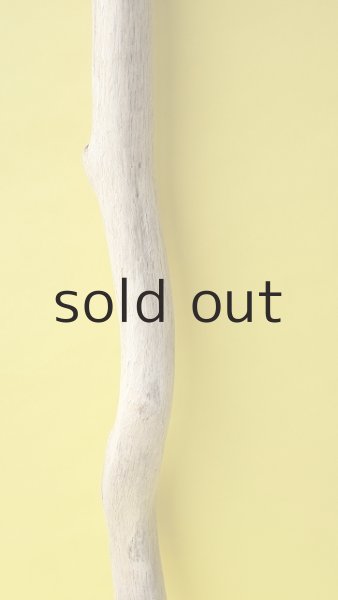 画像4: 幹流木 (4)