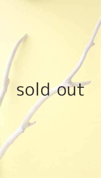 画像8: 幹流木 (8)