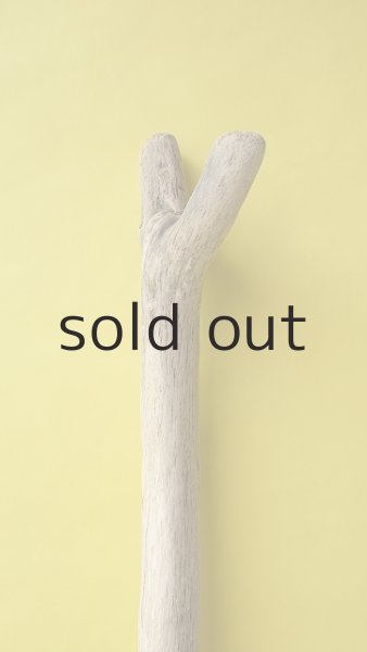 画像5: 幹流木 (5)