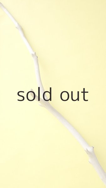 画像6: 幹流木 (6)