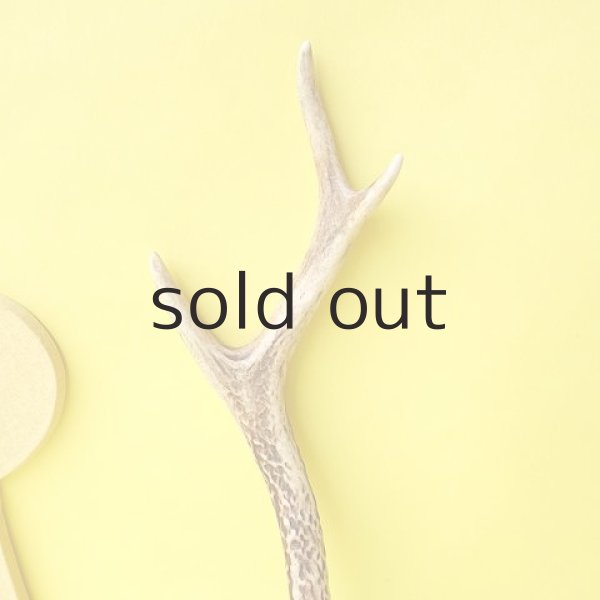 画像3: デコール用二ホンジカの角（小鹿） (3)