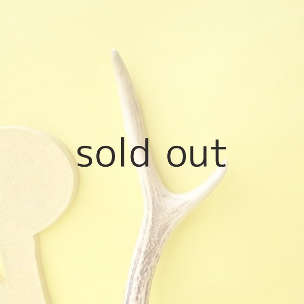 画像3: デコール用二ホンジカの角（小鹿） (3)