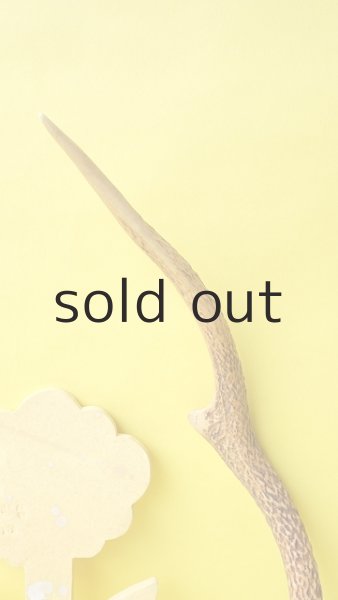 画像3: デコール用二ホンジカの角 (3)