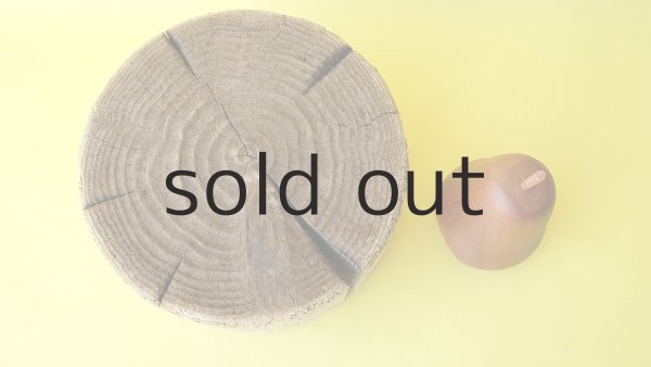 画像2: 板流木・切り株 (2)