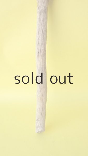 画像2: 枝流木 (2)