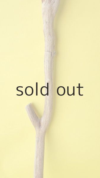 画像3: 枝流木 (3)