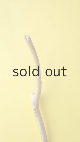 画像5: 幹流木 (5)