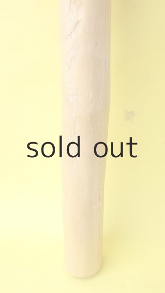 画像2: 幹流木 (2)