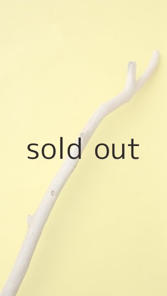 画像4: 幹流木 (4)