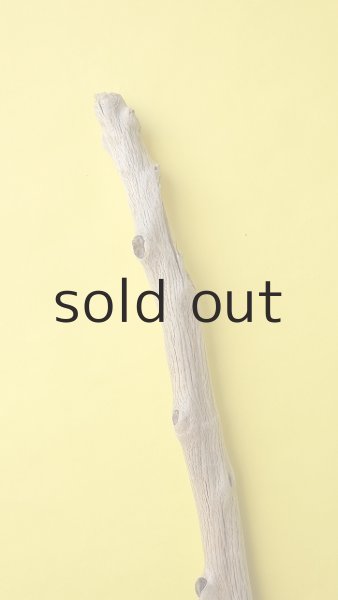 画像5: 幹流木・長尺 (5)