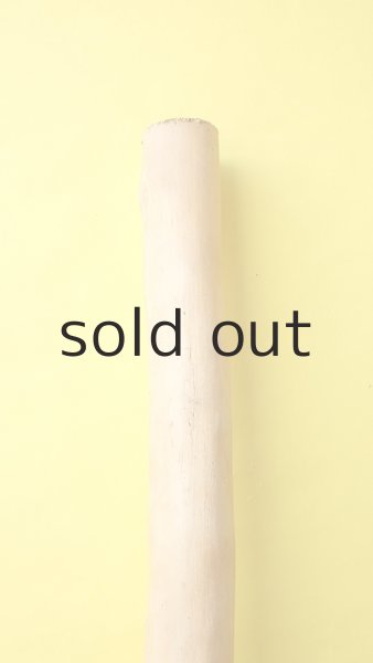 画像5: 幹流木 (5)