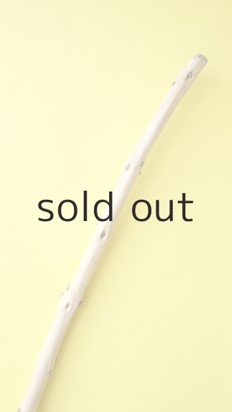 画像5: 棒流木・長尺 (5)