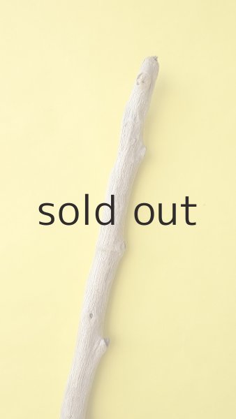 画像6: 幹流木・長尺 (6)