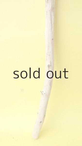 画像2: 棒流木・長尺 (2)