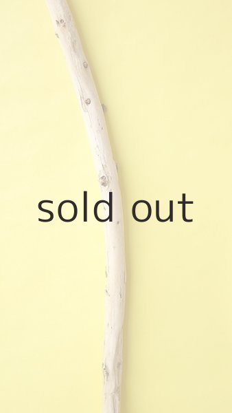 画像3: 棒流木・長尺 (3)