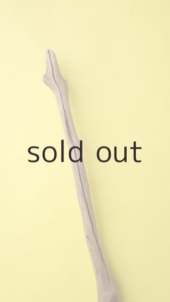 画像6: 幹流木 (6)