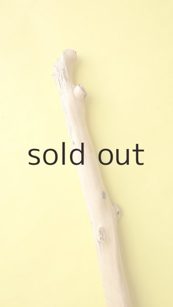 画像6: 幹流木 (6)