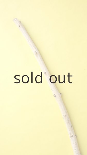 画像4: 棒流木・長尺 (4)