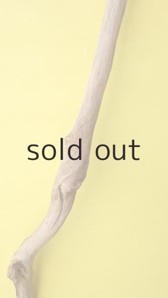 画像4: 幹流木 (4)