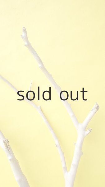 画像4: 枝流木 (4)