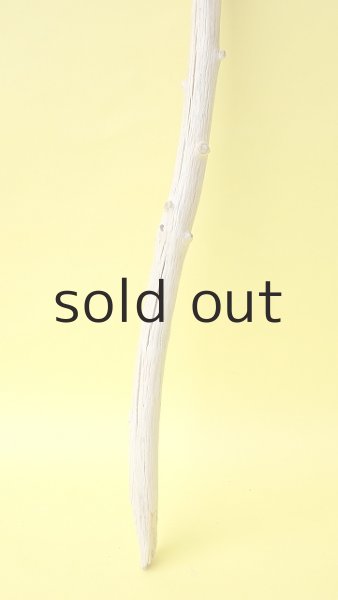 画像2: 枝流木 (2)