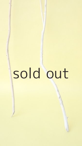 画像2: 小枝流木セット (2)